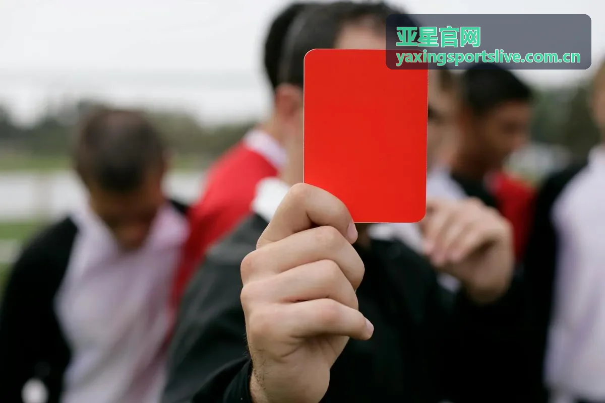 亚星官网专业分析方案数据面板